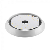   Circus Pro 3 24 FS-MAN-CP-018-65-68-208-OPL-3    3